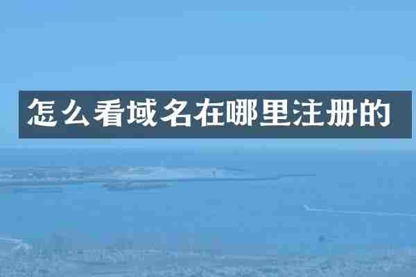 怎么看域名在哪里注册的