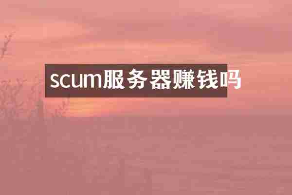 scum服务器赚钱吗