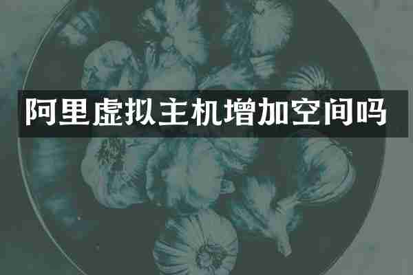 阿里虚拟主机增加空间吗