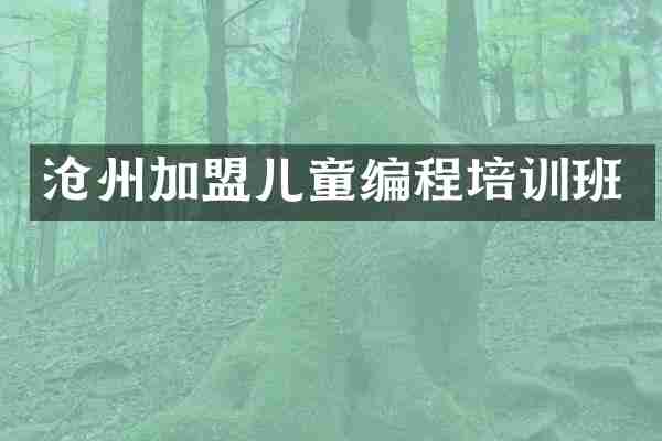 沧州加盟儿童编程培训班
