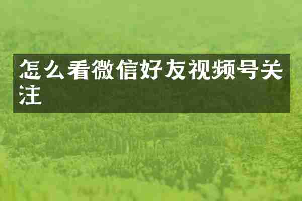 怎么看微信好友视频号关注