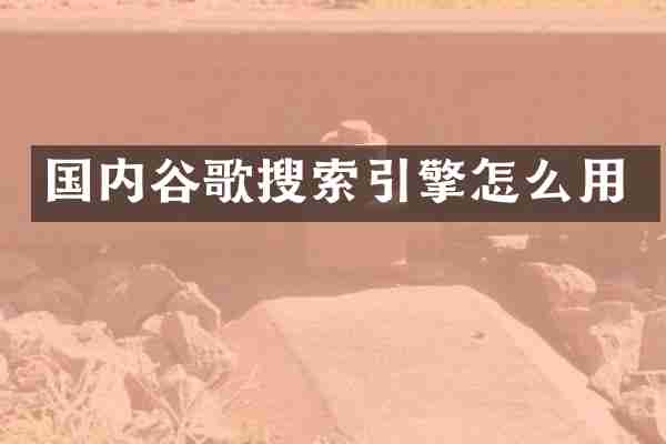 国内谷歌搜索引擎怎么用