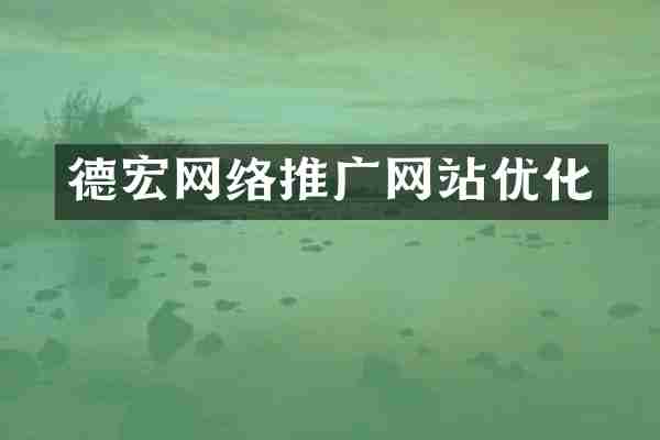 德宏网络推广网站优化