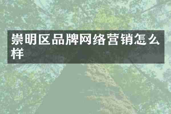 崇明区品牌网络营销怎么样