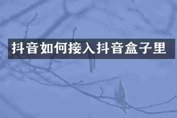 抖音如何接入抖音盒子里