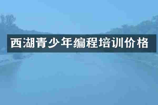 西湖青少年编程培训价格