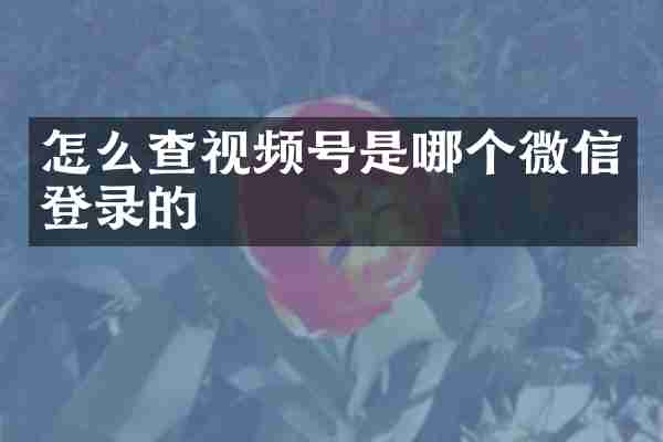 怎么查视频号是哪个微信登录的