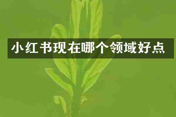 小红书现在哪个领域好点