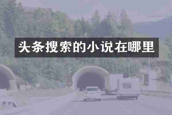 头条搜索的小说在哪里