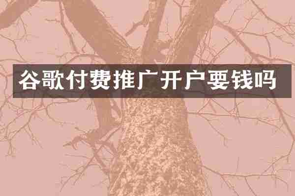 谷歌付费推广开户要钱吗