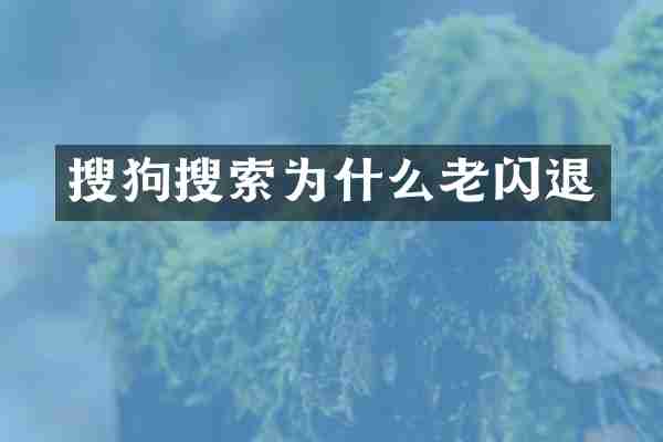 搜狗搜索为什么老闪退