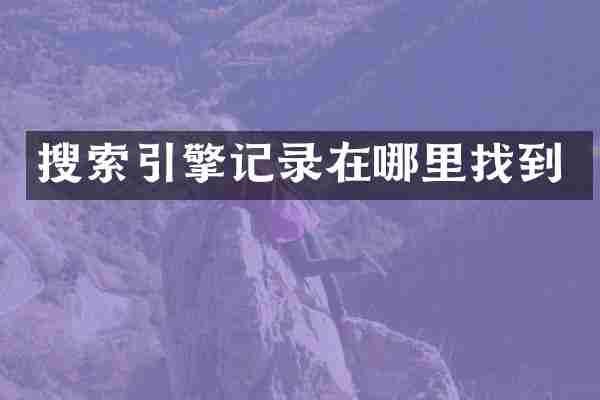 搜索引擎记录在哪里找到