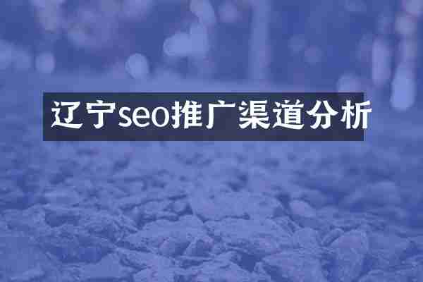 辽宁seo推广渠道分析