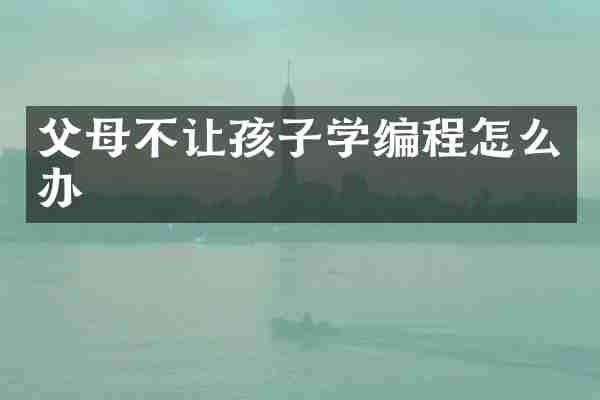 父母不让孩子学编程怎么办