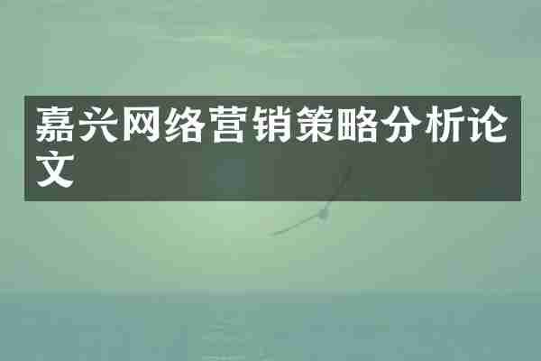 嘉兴网络营销策略分析论文