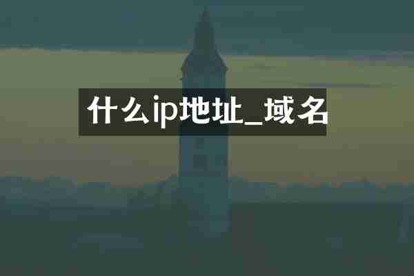 什么ip地址_域名