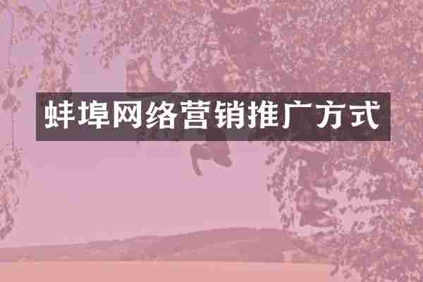 蚌埠网络营销推广方式