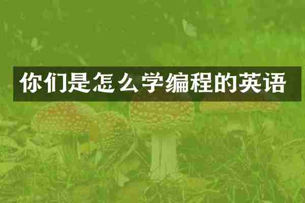 你们是怎么学编程的英语