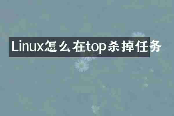Linux怎么在top杀掉任务