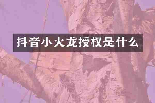 抖音小火龙授权是什么