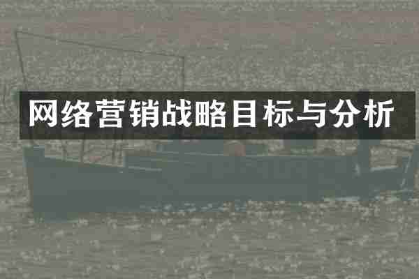 网络营销战略目标与分析