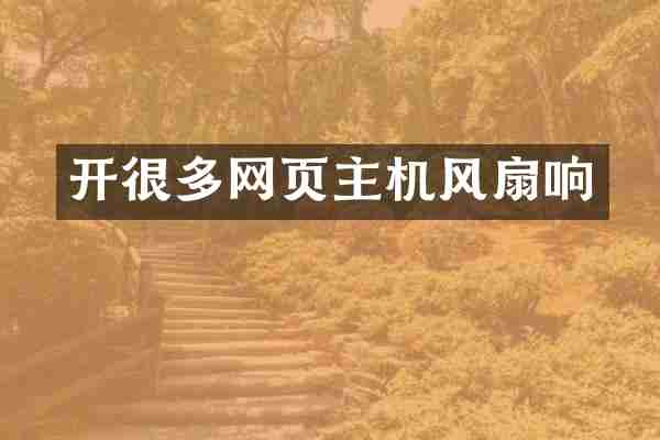 开很多网页主机风扇响
