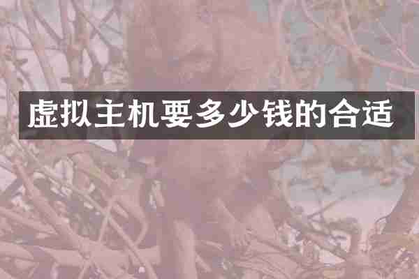 虚拟主机要多少钱的合适