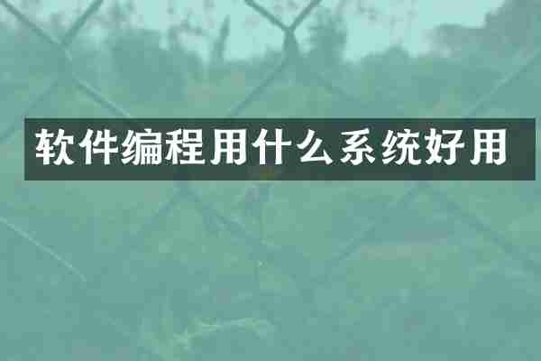 软件编程用什么系统好用