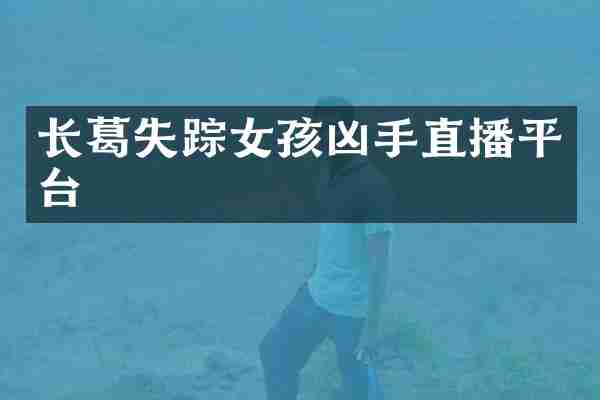 长葛失踪女孩凶手直播平台