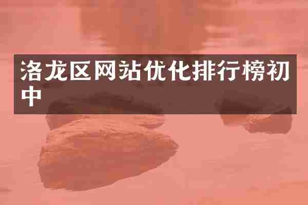 洛龙区网站优化排行榜初中