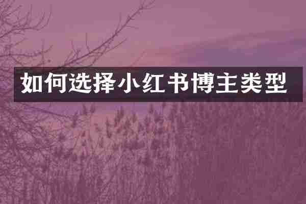 如何选择小红书博主类型
