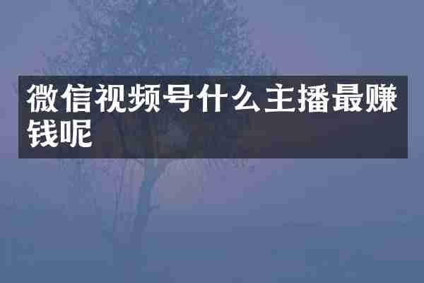 微信视频号什么主播最赚钱呢
