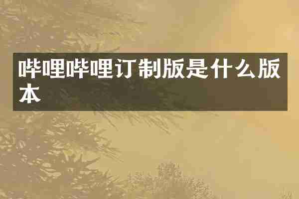 哔哩哔哩订制版是什么版本