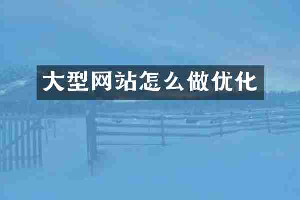 大型网站怎么做优化