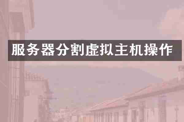 服务器分割虚拟主机操作
