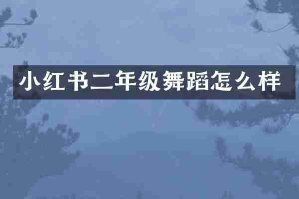 小红书二年级舞蹈怎么样