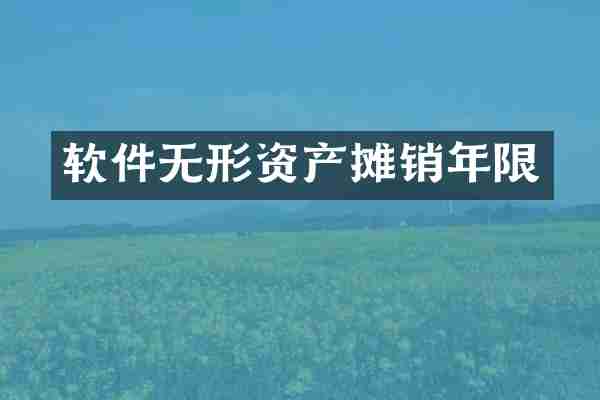 软件无形资产摊销年限