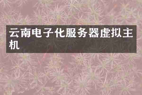 云南电子化服务器虚拟主机
