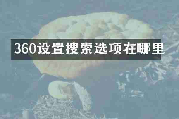 360设置搜索选项在哪里