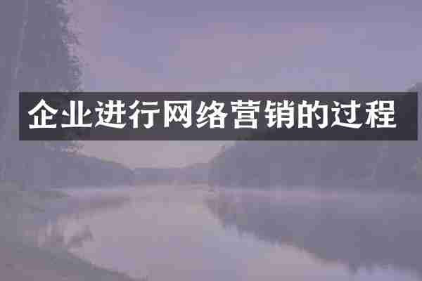企业进行网络营销的过程