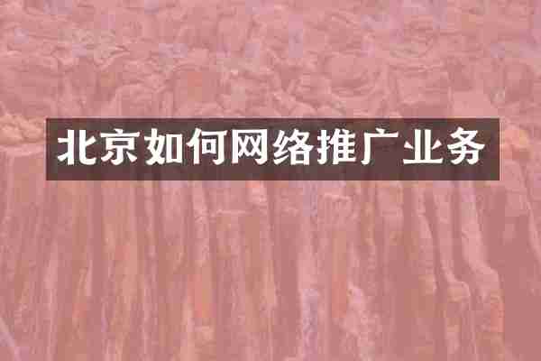 北京如何网络推广业务