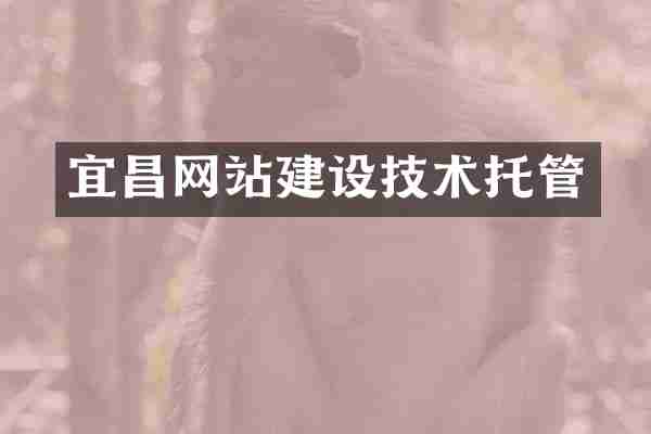 宜昌网站建设技术托管