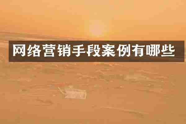 网络营销手段案例有哪些