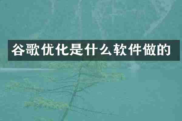 谷歌优化是什么软件做的