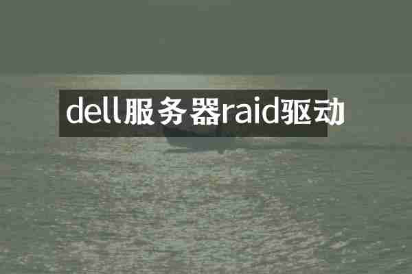 dell服务器raid驱动