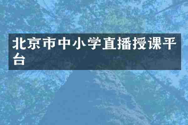 北京市中小学直播授课平台