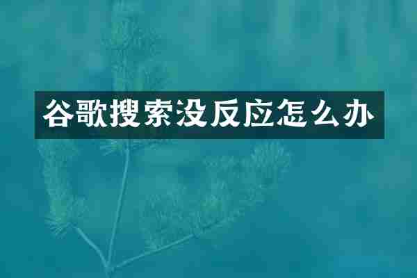 谷歌搜索没反应怎么办