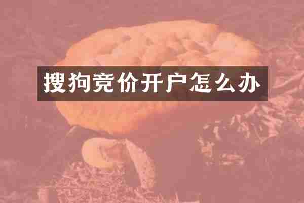 搜狗竞价开户怎么办