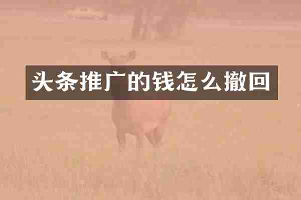 头条推广的钱怎么撤回