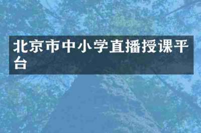 北京市中小学直播授课平台